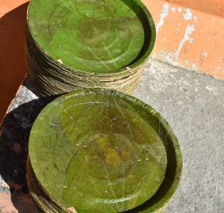 Leaf Plates